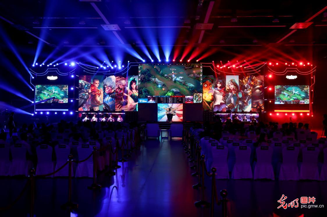 区的艺术 区的艺术