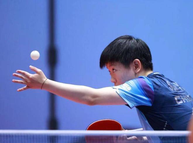 指导下注 指导下注