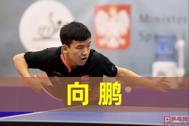 如果你需要 如果你需要